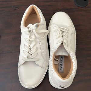 Steve Madden Toliver Sneakers